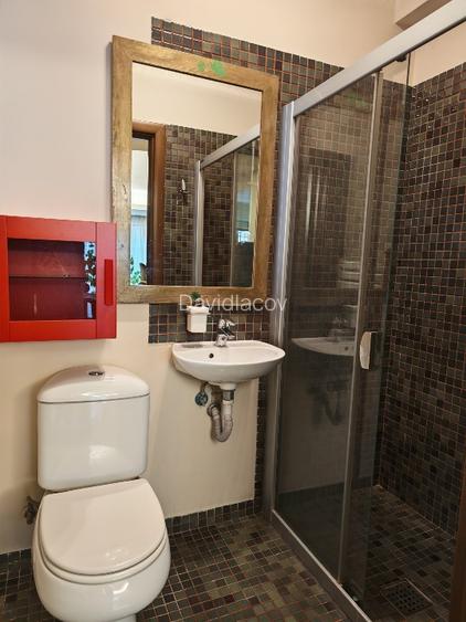 EXCLUSIVIST | Oază Urbană cu Curte Proprietate - Apartament 5 Camere, 3 Băi, 2 L - 12