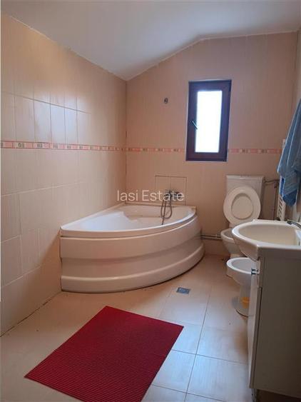 Copou Viticultori Vila D+P+M S.U.=181,74 Teren 415mp.constructie 2010 - 12