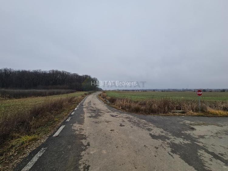 Teren | Poiana Ciolpani | Iris Orangerie - 9