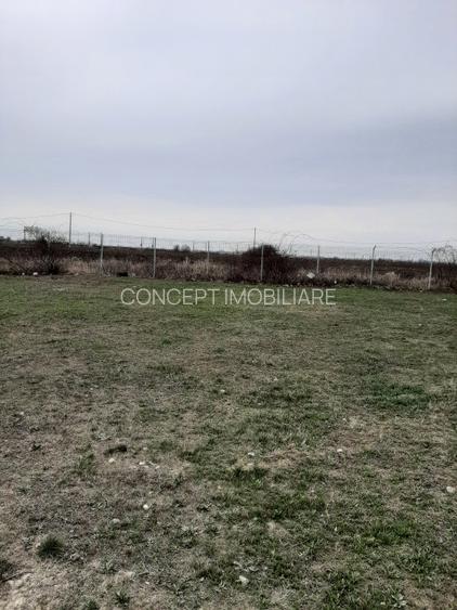 Teren, T7,  Domnesti, Zona industriala - 7