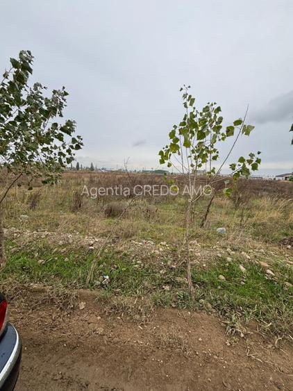 Theodor Pallady, Gura Solcii, 6000mp, vazare teren intravilan - 6