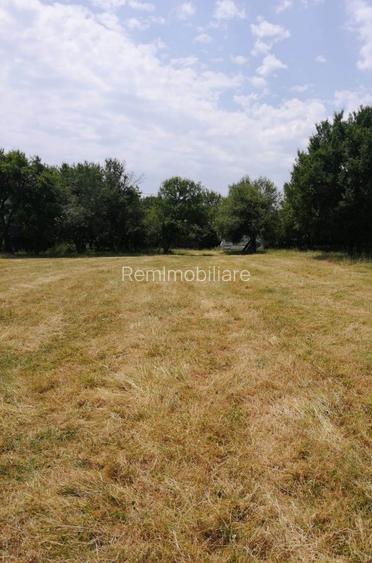 Teren Tismana - sat Gornovita - 2