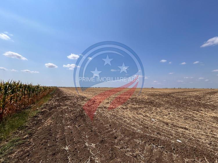 Teren intravilan 5087 mp de vânzare – Pielești - 3