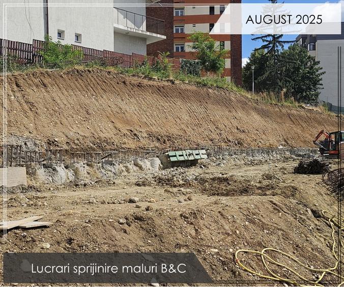 8b4517cc-ad11-45a8-98dd-e9c1e3d295be - 4