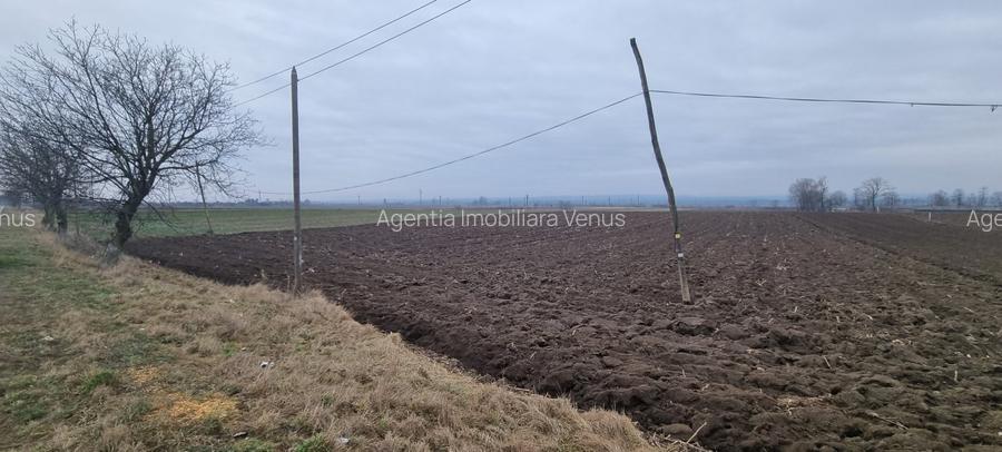 Teren la asfalt in Bucecea - 3