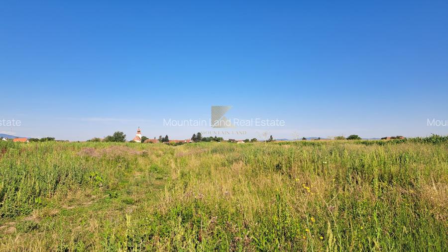 Posibilitate RATE | Teren Bod | curti constructii | utilitati | PUZ, - 12