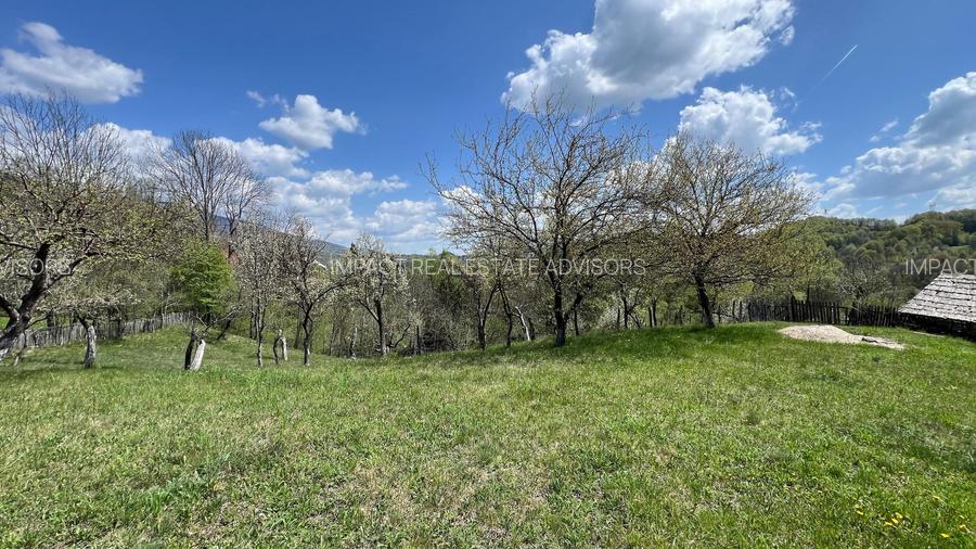 Conac 10 camere | renovat integral | Arefu | Baraj Vidraru - 7