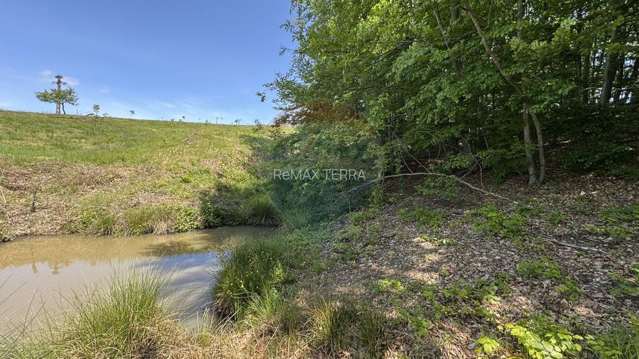 Teren intravilan de vanzare 55 600 mp Codru Butesii - 13