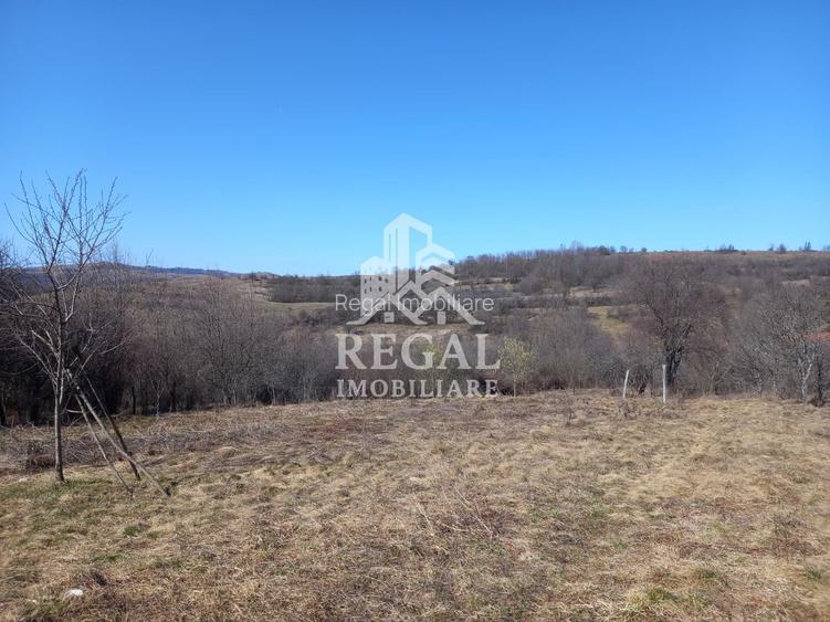 Două case de vânzare – Cerisor – teren generos 6996 mp - 14