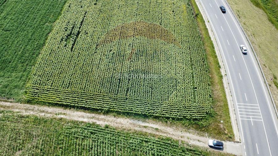 Teren 3,500mp Ilisesti / Strada Principala - 4