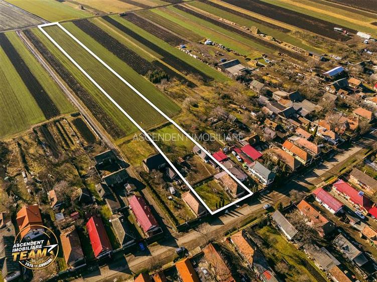 FILM! Casa traditionala, pe domeniu pretios, de 7.608 mp, Cernat, Covasna - 22