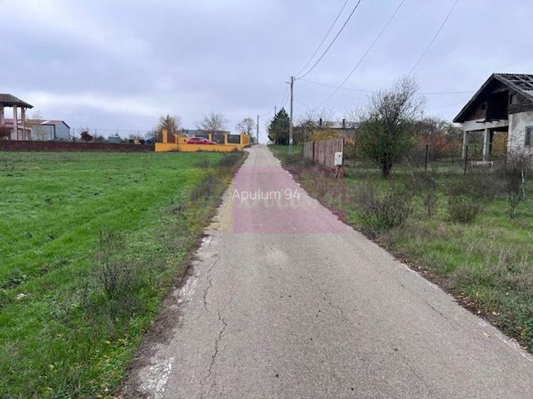 Teren Comana- strada Funieru. - 2