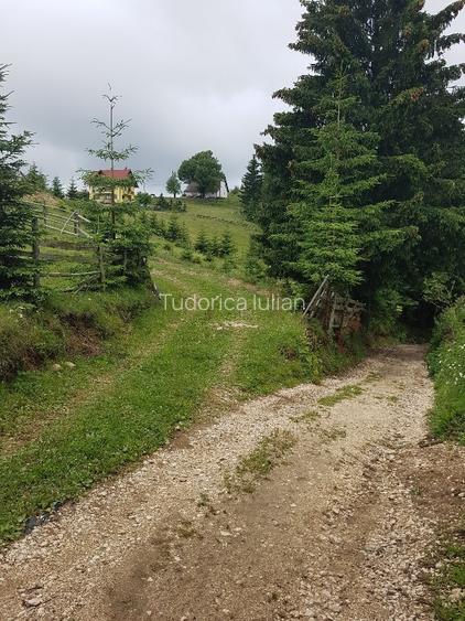 Cabană montană cu panoramă Bucegi & Piatra Craiului – Fundata - 12