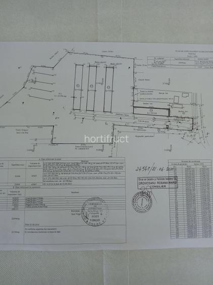 Vand teren intravilan 22500 mp ,industrial, Breasta-DOLJ,50 eur/mp - 2