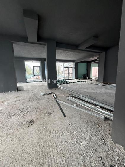 Zona P-ta Alba Iulia sp 165 mp open space +terasa 120 mp - 6