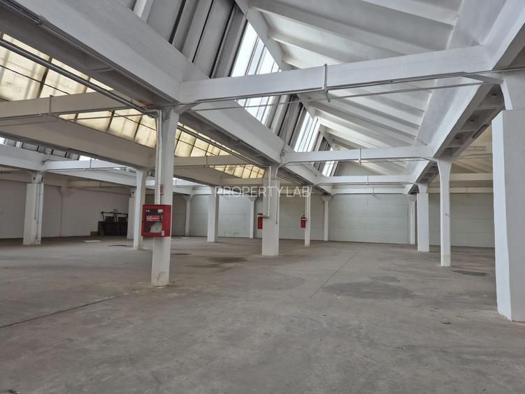 Hală de închiriat în Arad - 9