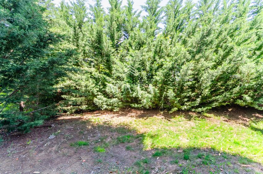 Apartament 3 camere, curte proprie, parcare, inconjurat de zona verde - 3