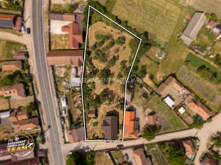 FILM! Casa personalizabila +2.700mp teren,pomi fructiferi,langa Sfantu Gheorghe: - 16