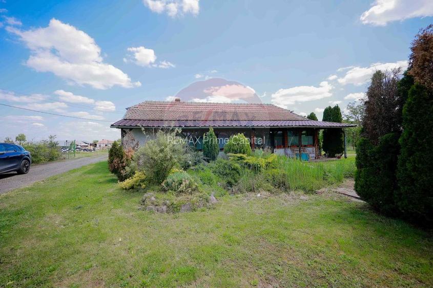 De vânzare fermă multifuncțională, teren 53883 mp - Salonta - 12