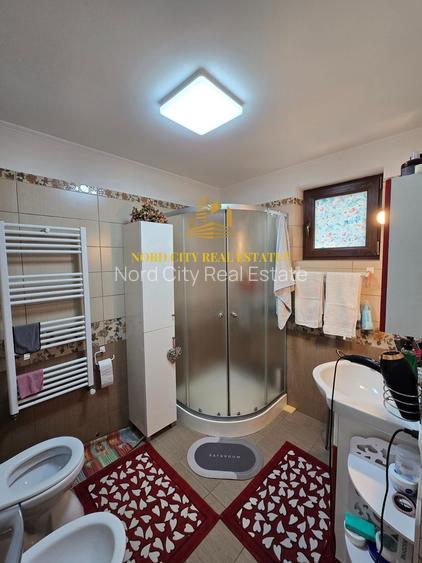 De vanare - Casa Dragomiresti Vale - 14