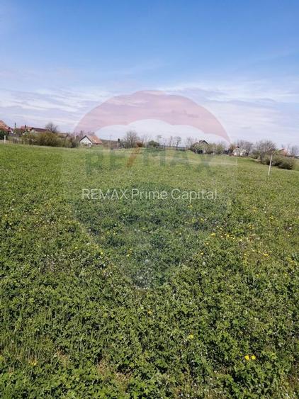 De vânzare teren intravilan, 6574 mp în Leș - 4