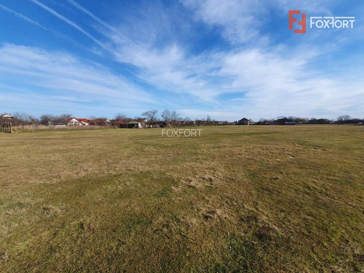 COMISION 0% Teren intravilan 6400 mp la drum asfaltat - Padureni - 17