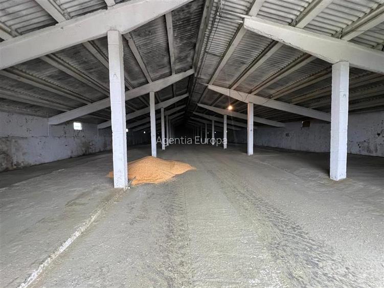 Hale de inchiriat localitatea M. Kogalniceanu Tulcea - 10