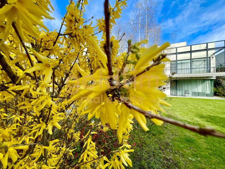 SUPERB/ ESQUISITE DESIGN/ GARDEN/ PARKINGS/ IANCU NICOLAE - 2