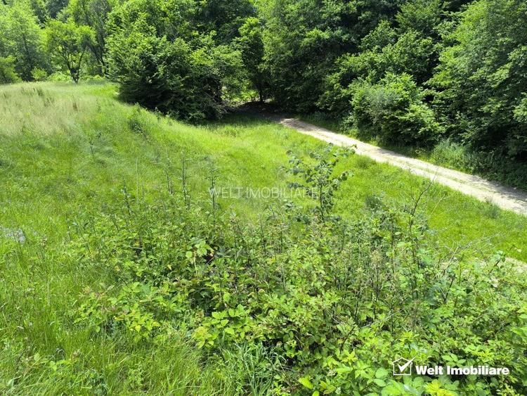 Teren extravilan, 1423 mp, Huta, com. Chiuesti, jud. Cluj, pt. investitie - 3