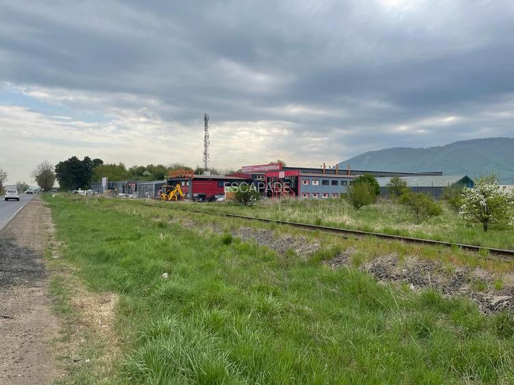 Hala Industriala, zona Ina Schaeffler , 530 mp utili - 17