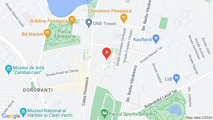 Apartament Floreasca -  vedere parc - 10