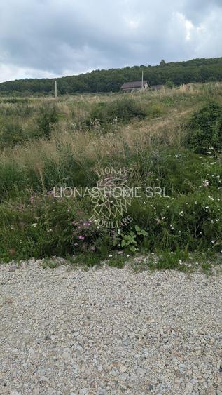 Teren 1000 mp cu utilitati-ideal casa, cabana, investitie-Dealul Jelnei - 3