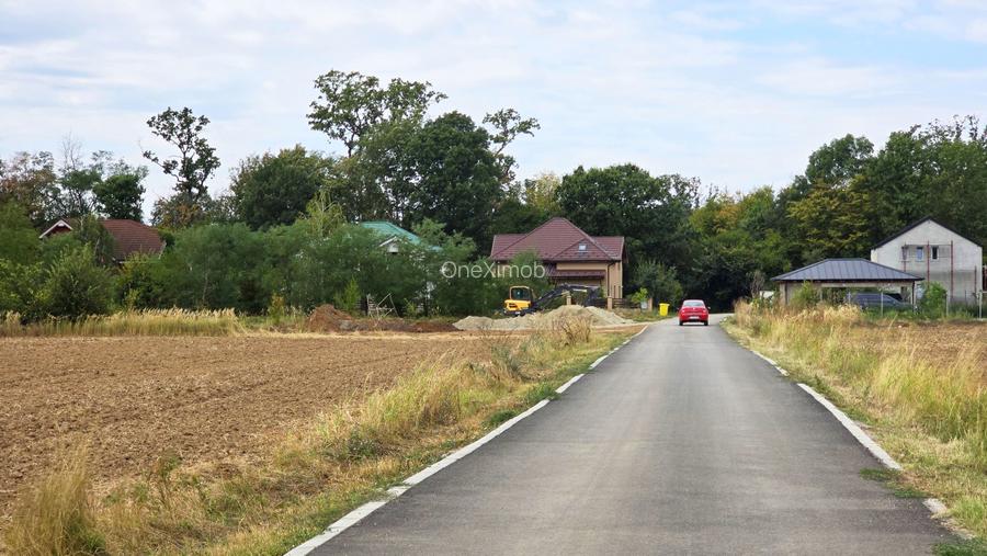 The Forest Collection -500mp-Zona exclusivista | Padurea Snagov -Ciofliceni - 8