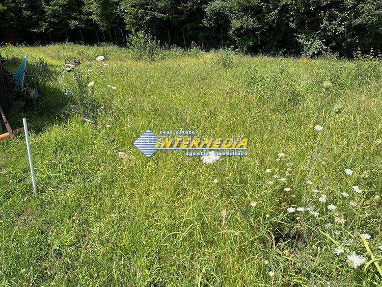 OKAZIE! 850 mp | Teren Intravilan | Alba Micesti | d=20 m| Utilitati | Panoramic - 2