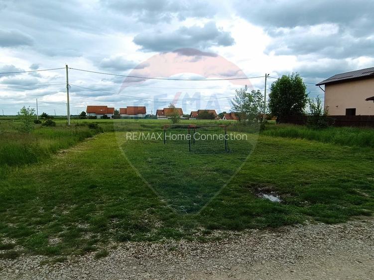 Teren 601mp Balotesti / Strada Morarilor - 6