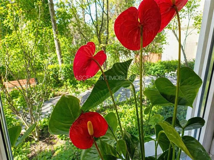 Apartament cu 3 camere, izolat termic, Dambu Pietros, Targu Mures - 2