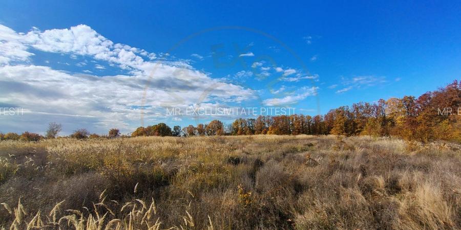 Terenuri intrevilane Comuna Mosoaia - 4