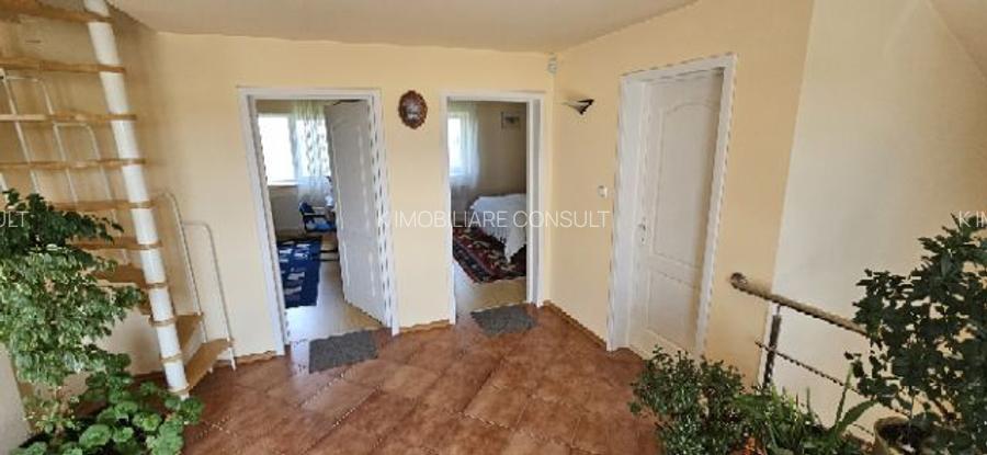 Ciopani vila 5 camere teren 4000 mp - 30