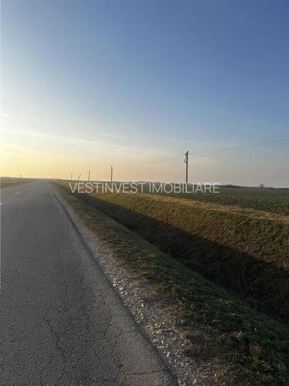 Teren Industrial Oradea spre Livada - 5