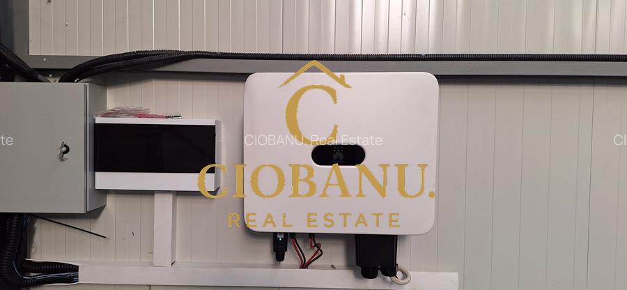 Hala de vanzare in Racarii de Jos - 6