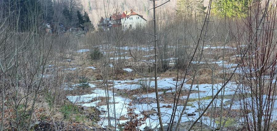 De vanzare teren intravilan AZUGA - 8