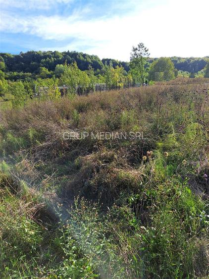 Teren in suprafata de 751 mp, Buda - 3