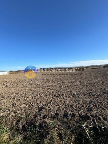 Casa Bodesti, jud. Neamt - 15