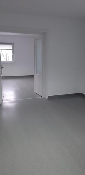 Vand casa cu spatiu comercial, teren 1207 mp, Cristesti, Mures