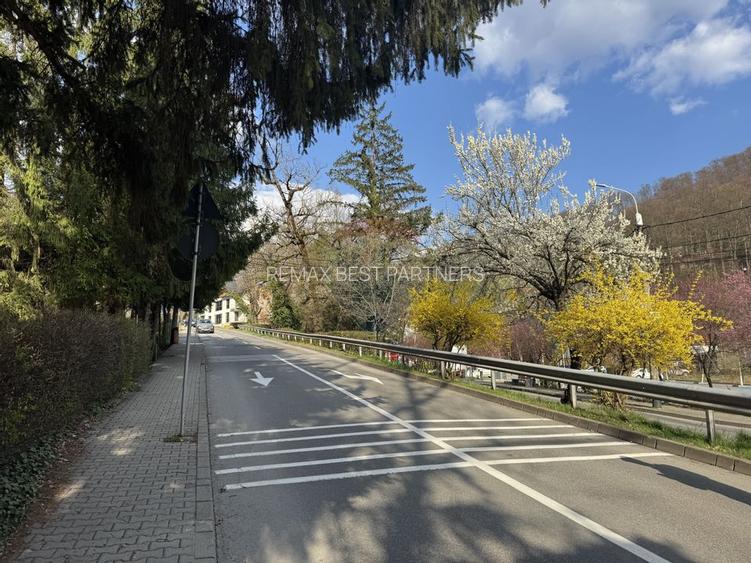 Teren cu potential investitional – Sovata, zona Lacul Ursu - 9