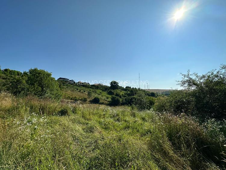 Teren de vanzare in Feleac, Intravilan - 8