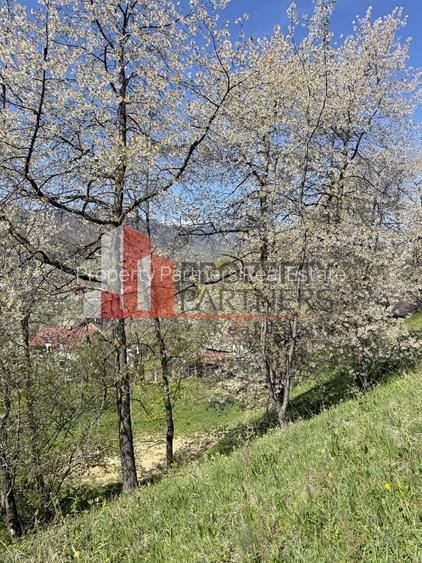 Teren 2500 mp Sohodol - 14