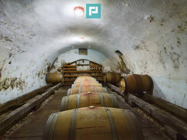 Pivnițele Birăuaș D.O.C Miniș - RATE FĂRĂ DOBÂNDĂ - 36