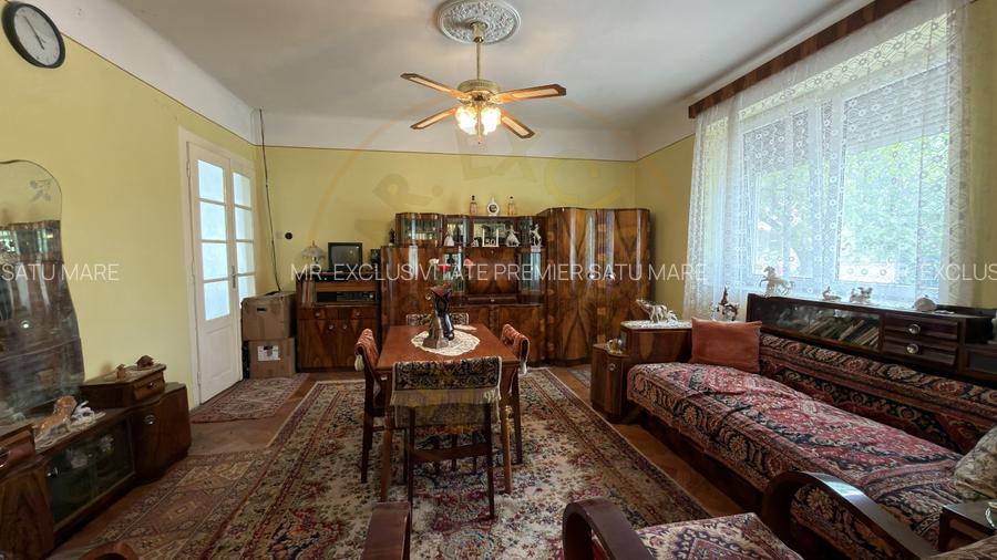 Casă 3 camere, Teren 1053 mp Str. Dorului Nr. 3 - Carei - Comision 0% cumpărător - 18