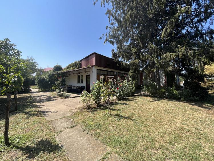 Popas La Doi Brazi - magazine, bar, terasă, casă boierească, grădină și piscină - 17
